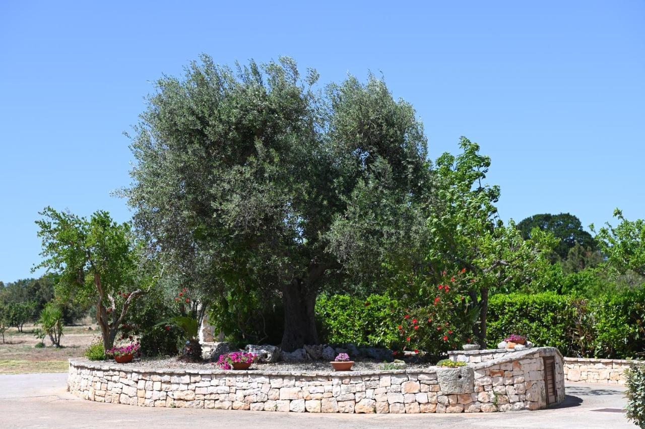 Masseria Peppeturro Cisternino Eksteriør bilde